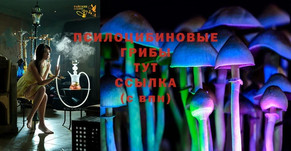 гидра Мегион